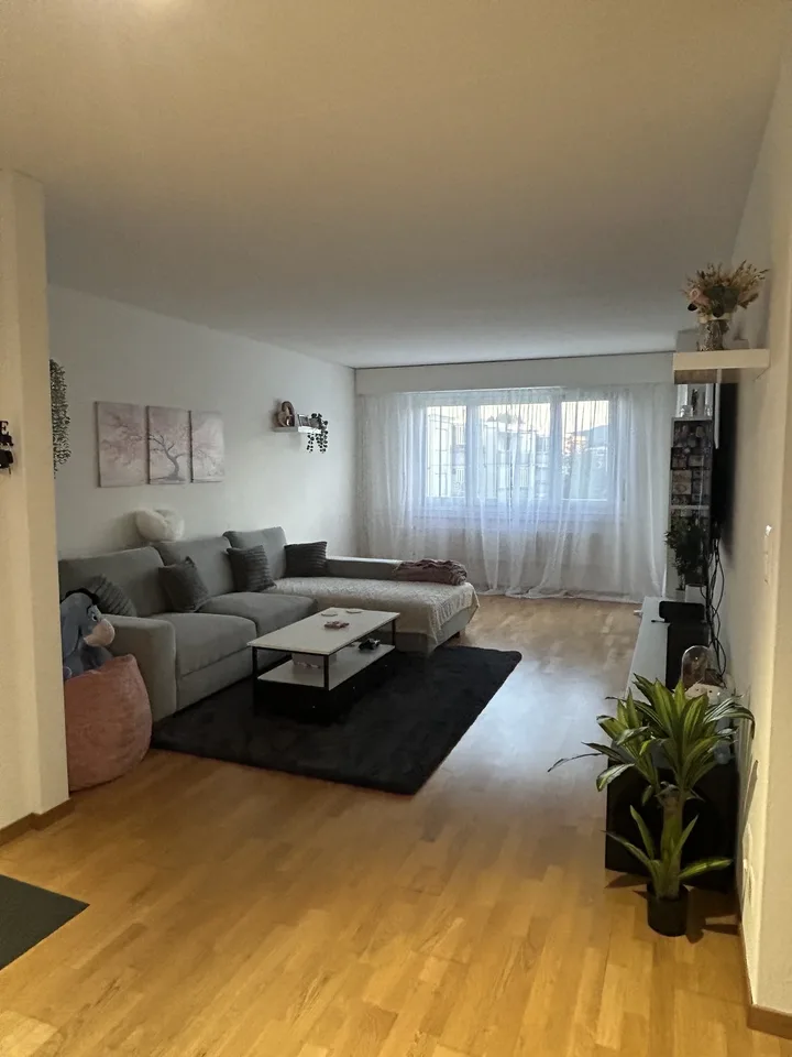 Helle 4.5 Zimmerwohnung