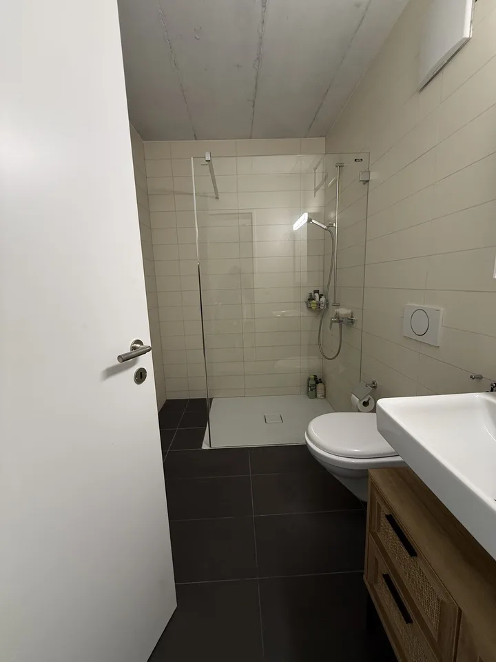 Modern 1.5-Room Apartment in Dübendorf – Available from Mid-September