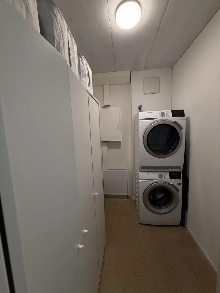 Modern 1.5-Room Apartment in Dübendorf – Available from Mid-September