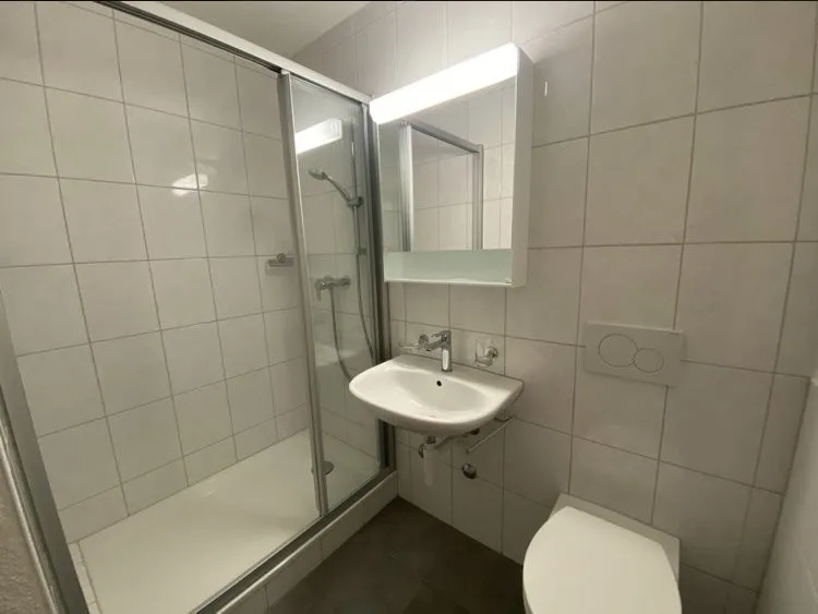 8953 Dietikon - CHF 1’089 inkl. NK pro Monat