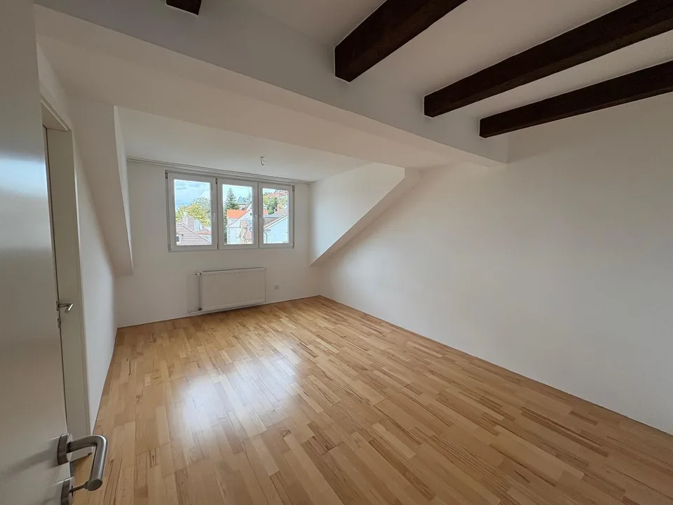 schöne Altbau-Dachwohnung mit grossem Balkon