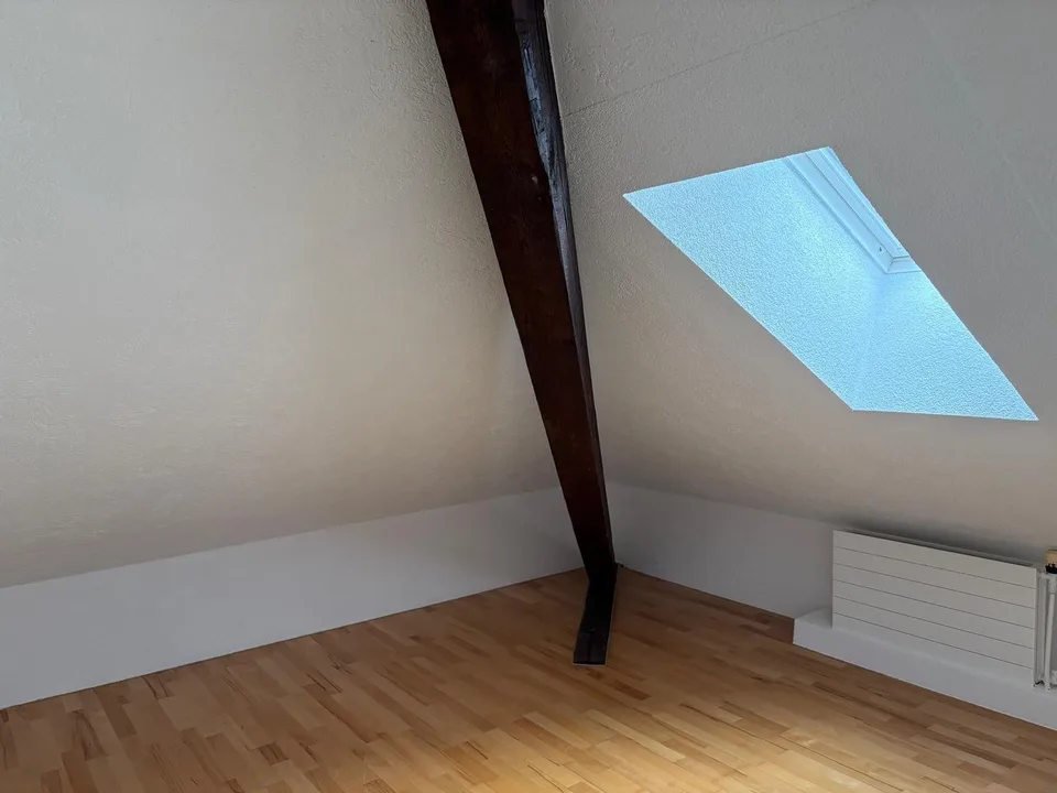 schöne Altbau-Dachwohnung mit grossem Balkon