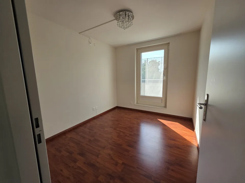 5.5 Zi Attika-Wohnung für 18 Monate befristet zu vermieten