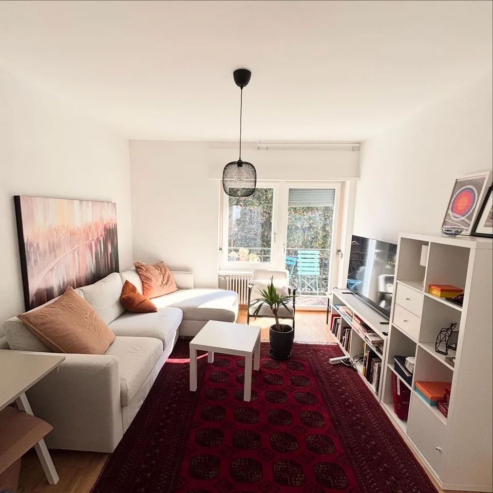 Furnished 2.5 room appartment to sublet for 8 months in Wiedikon