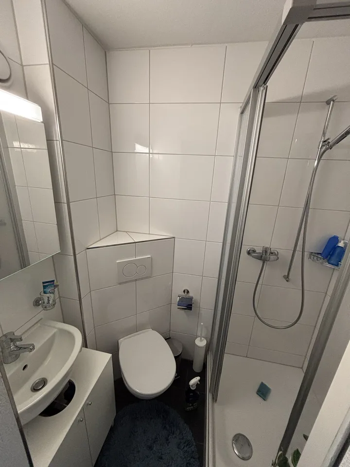 Furnished 2.5 room appartment to sublet for 8 months in Wiedikon