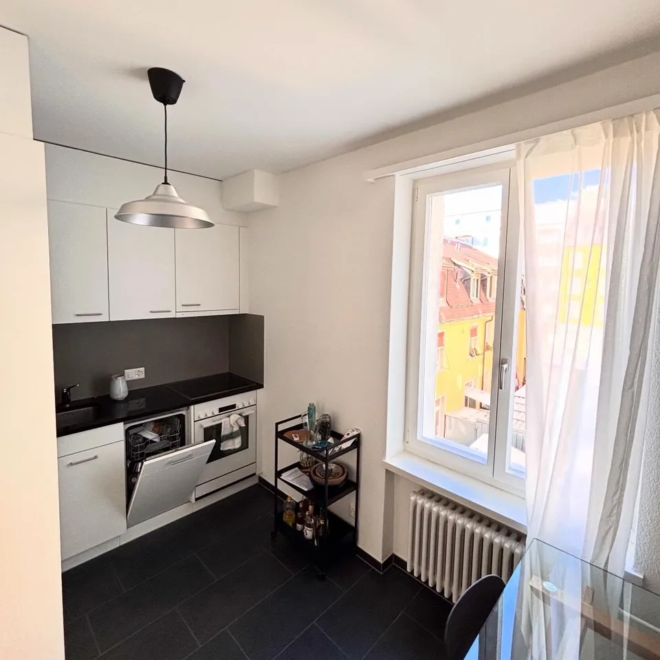 Furnished 2.5 room appartment to sublet for 8 months in Wiedikon