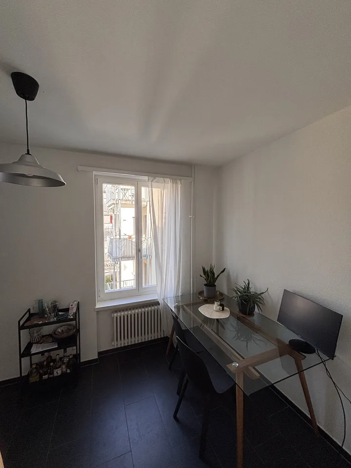 Furnished 2.5 room appartment to sublet for 8 months in Wiedikon
