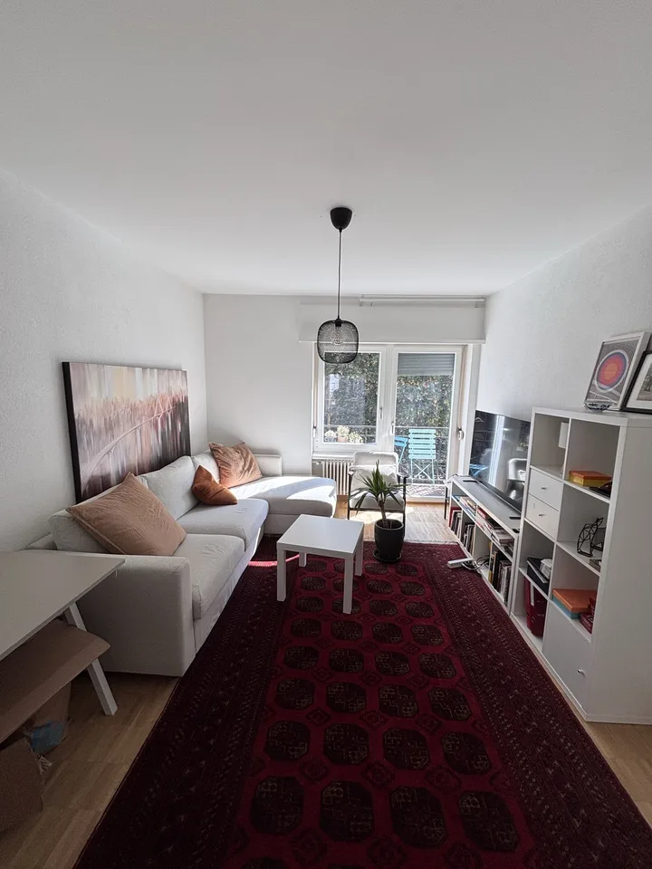 Furnished 2.5 room appartment to sublet for 8 months in Wiedikon