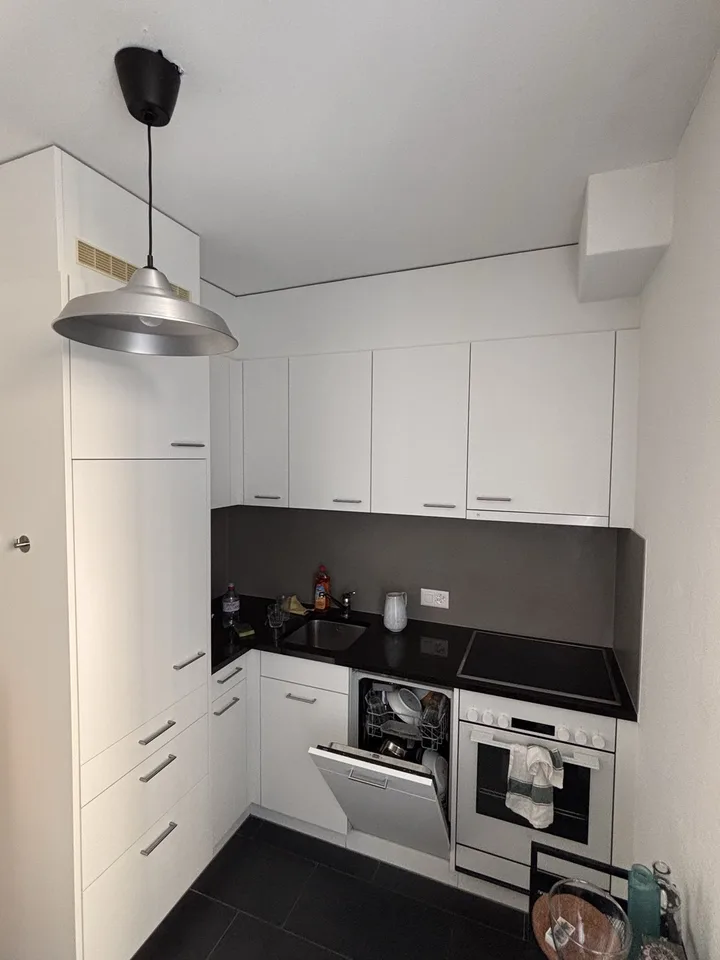 Furnished 2.5 room appartment to sublet for 8 months in Wiedikon