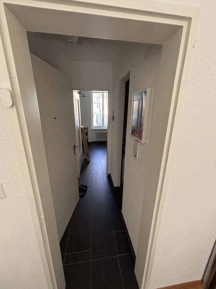Furnished 2.5 room appartment to sublet for 8 months in Wiedikon