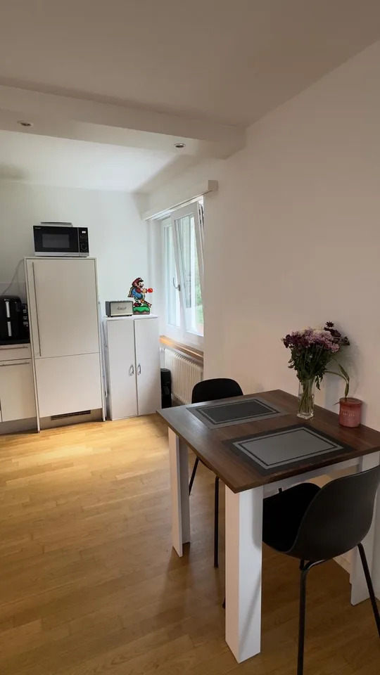 Cosy and quiet 1.5 rooms flat to rent in Zollikerberg(10mins from Stadelhofen)