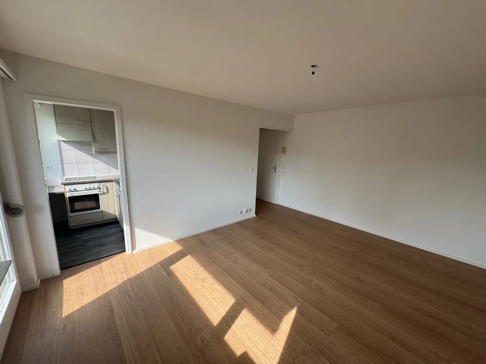 Nachmieter für meine gemütliche 1-Zimmerwohnung in Töss gesucht!