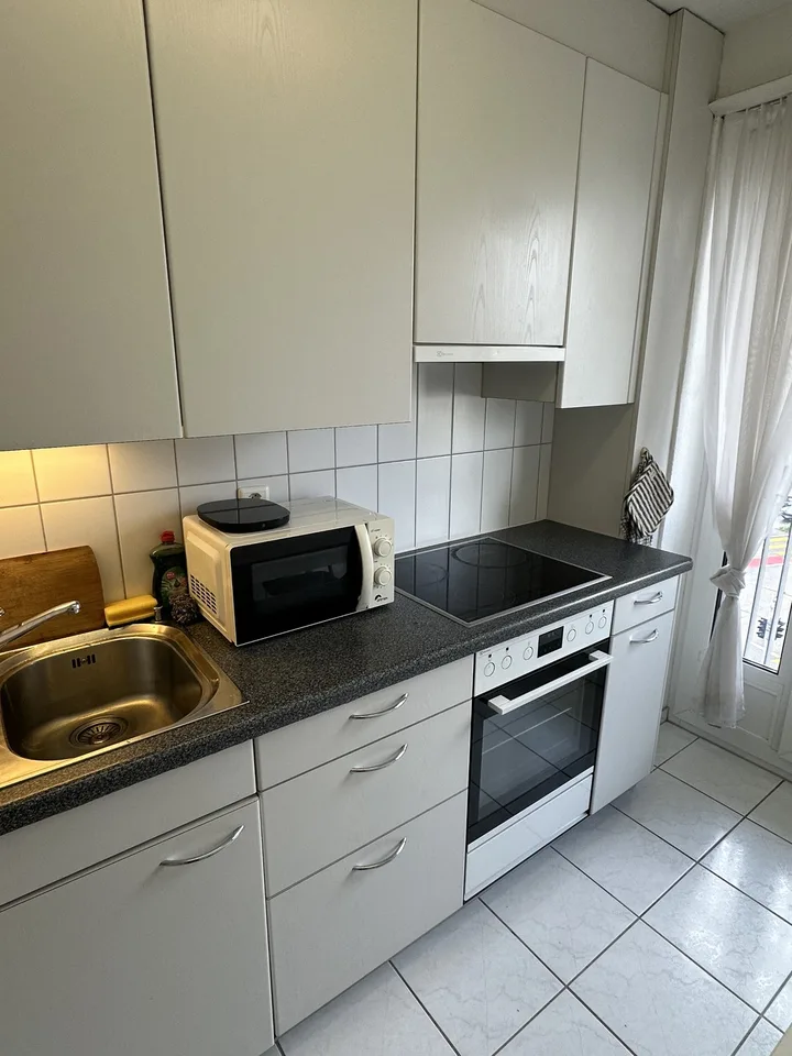 Fully furnished 2.5-room apartment in Zurich
