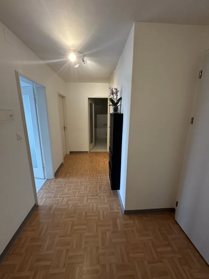 Fully furnished 2.5-room apartment in Zurich