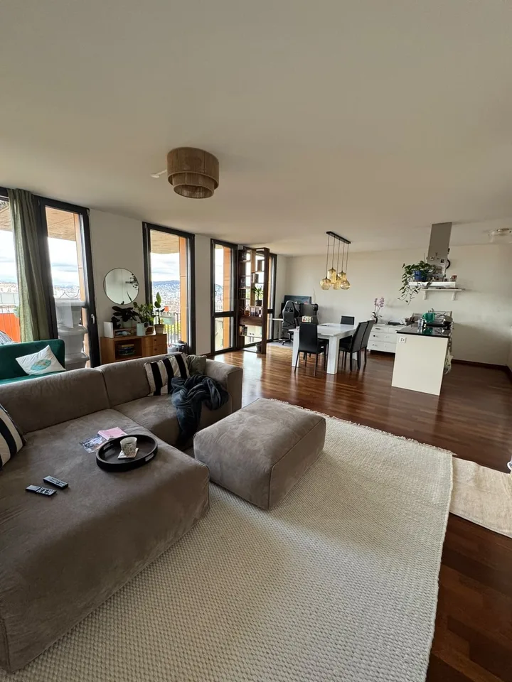Helle 2.5-Zimmer-Wohnung mit Terrasse und Weitblick in Zürich beim Triemli
