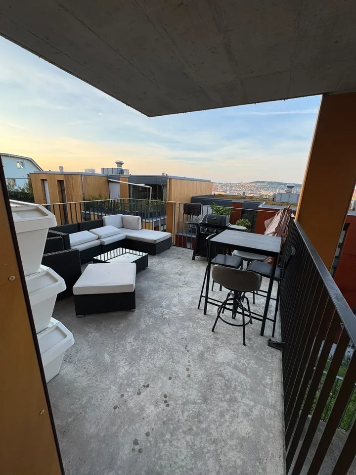 Helle 2.5-Zimmer-Wohnung mit Terrasse und Weitblick in Zürich beim Triemli