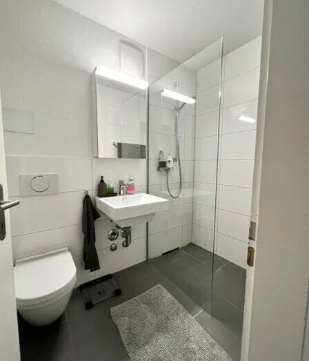 Lovely 1.5 apartment for temporary rental available from 1 october
