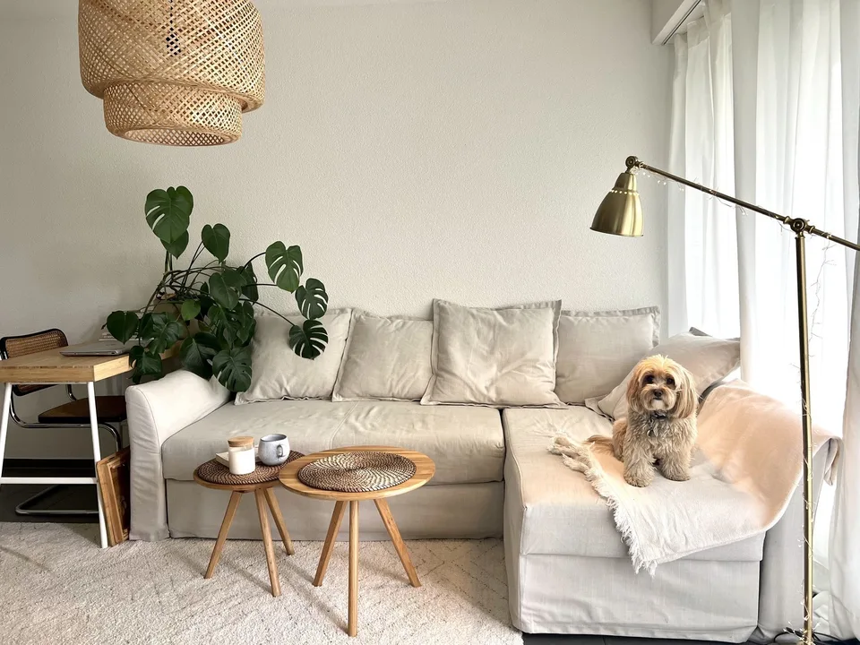 Lovely 1.5 apartment for temporary rental available from 1 october