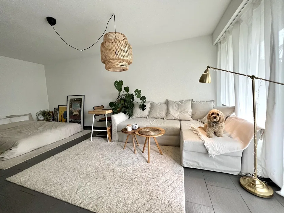 Lovely 1.5 apartment for temporary rental available from 1 october
