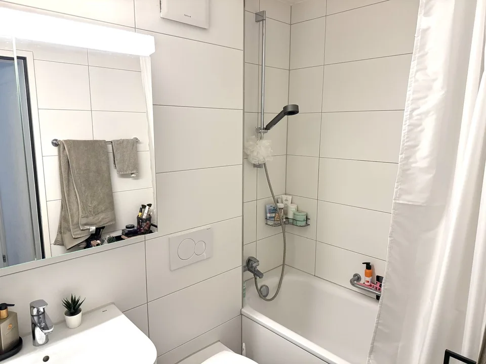 1.5-room apartment in Zurich Altstetten – available from approx. 20 October 2026