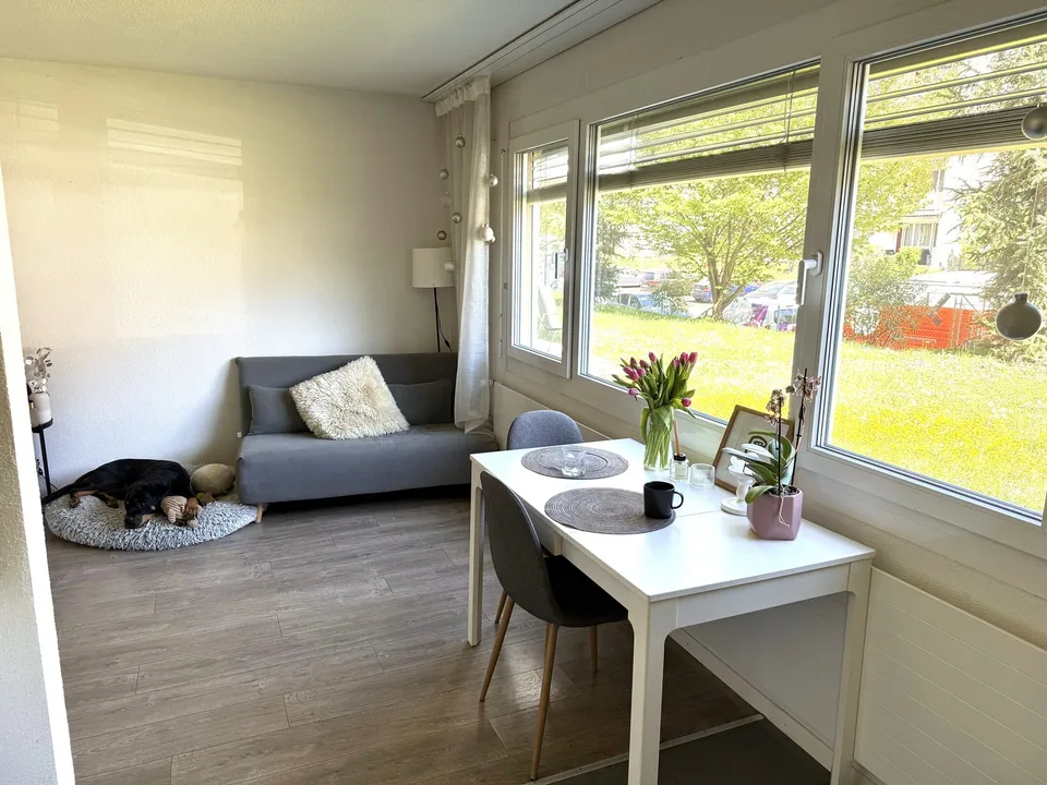 1.5-room apartment in Zurich Altstetten – available from approx. 20 October 2026