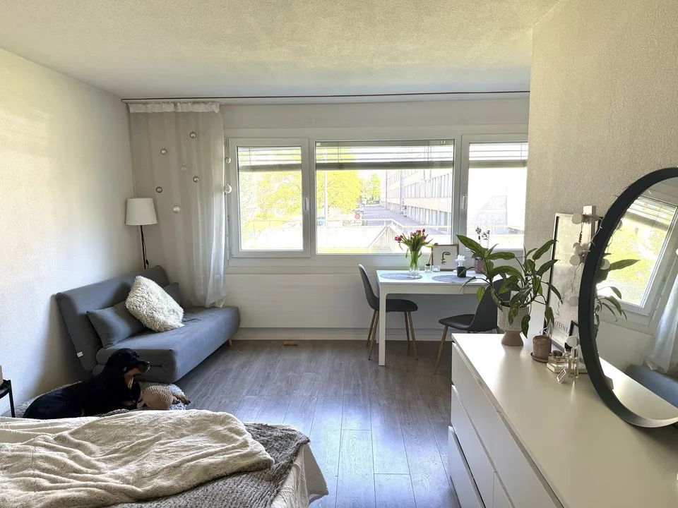 1.5-room apartment in Zurich Altstetten – available from approx. 20 October 2026