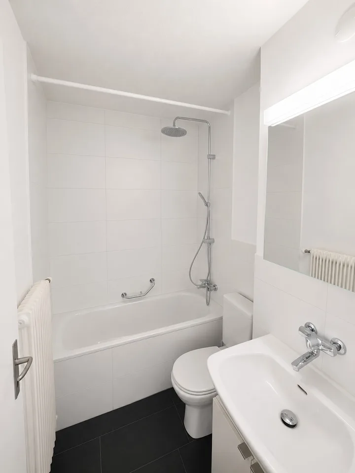 Charmante 1.5-Zimmer-Wohnung an ruhiger Lage in Adliswil