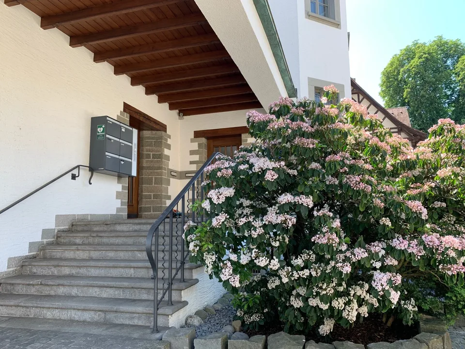 Studio im Zentrum von Wädenswil