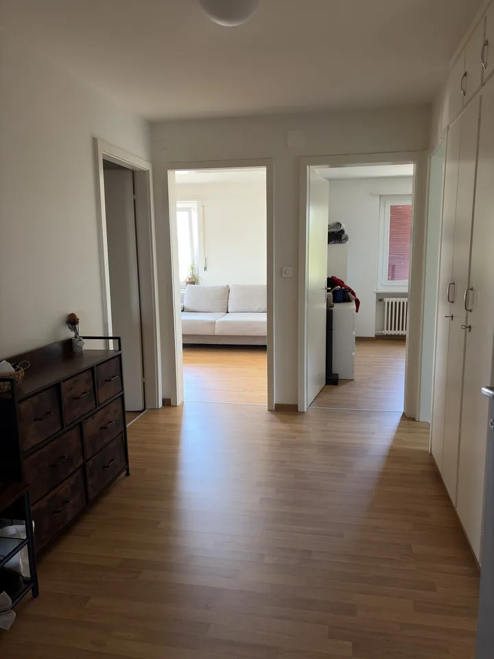 Helle möblierte 3-Zimmer-Wohnung in 6015 Reussbühl zur Untermiete