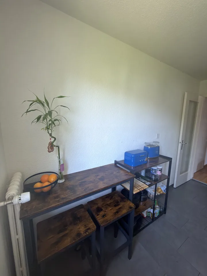 Helle möblierte 3-Zimmer-Wohnung in 6015 Reussbühl zur Untermiete