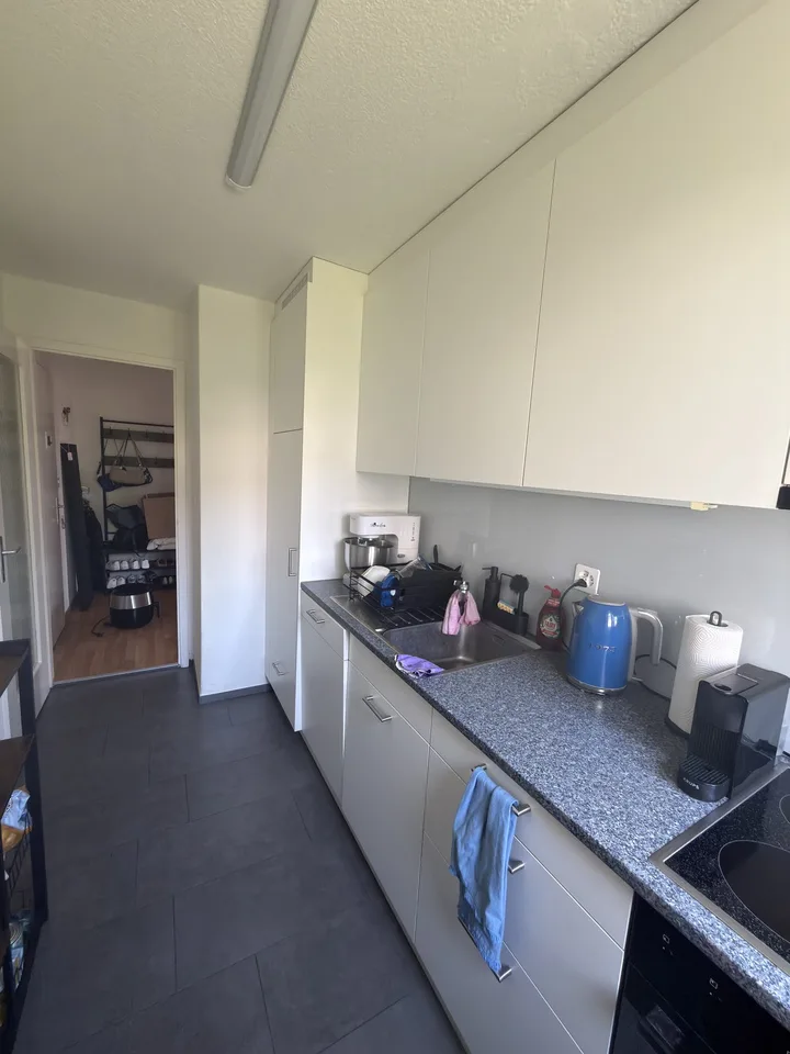 Helle möblierte 3-Zimmer-Wohnung in 6015 Reussbühl zur Untermiete