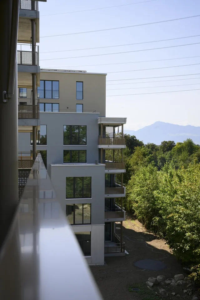 Moderne 3.5-Zimmer-Neubauwohnung in Cham zum Verkauf