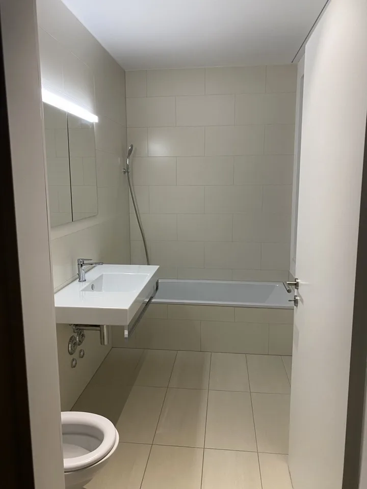 4.5 Zimmer Wohnung + Einstellhallenplatz