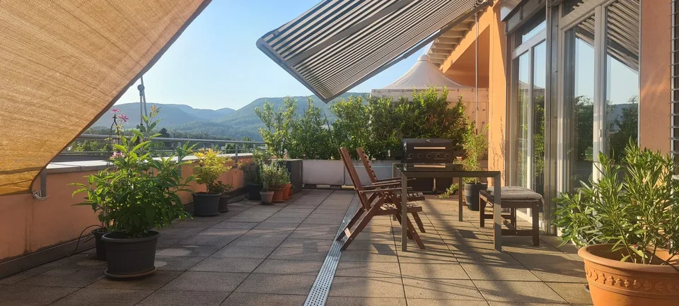 Nachmieter gesucht für wunderschöne 4.5 Zi Dachterrassen-Wohnung