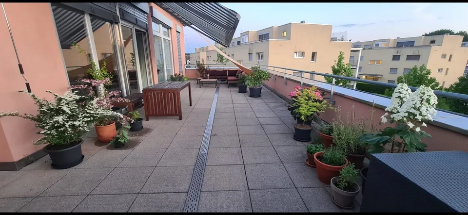 Nachmieter gesucht für wunderschöne 4.5 Zi Dachterrassen-Wohnung