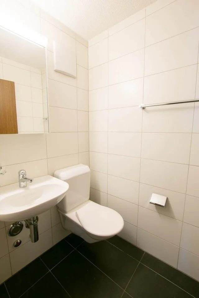 Sanierte 4.5-Zimmer zu vermieten!