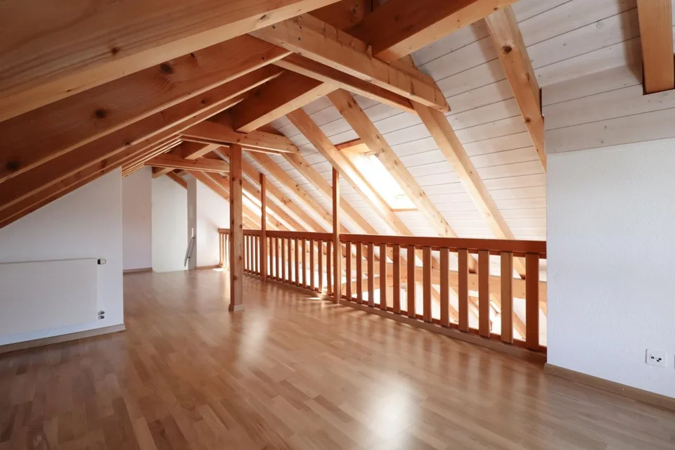 Attraktive 2.5 Zimmer Attika-Wohnung
