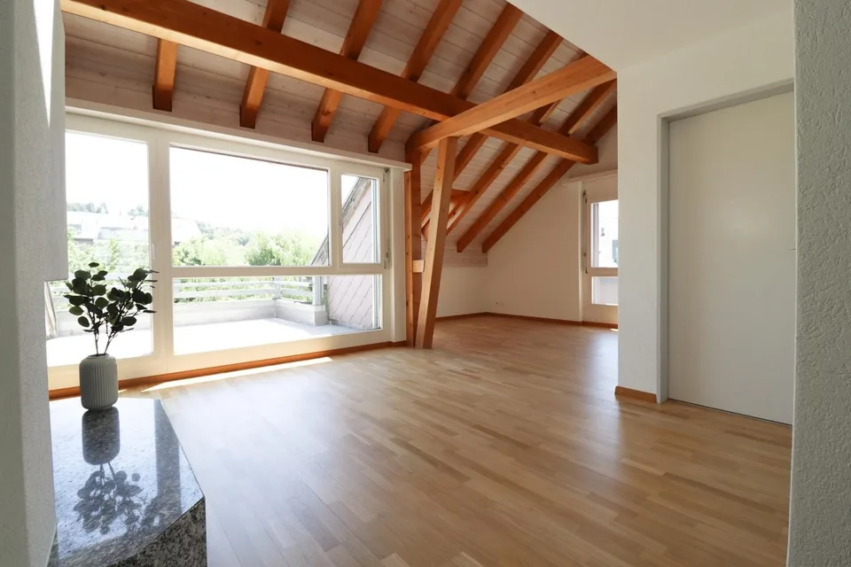 Attraktive 2.5 Zimmer Attika-Wohnung