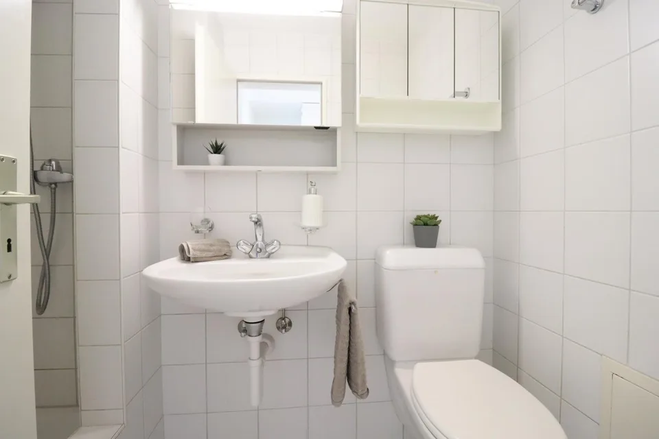 Attraktive 2.5 Zimmer Attika-Wohnung