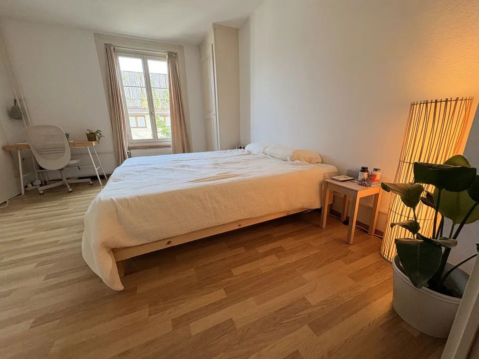 2.5-Zi im Länggassquartier (möbliert, temporär)