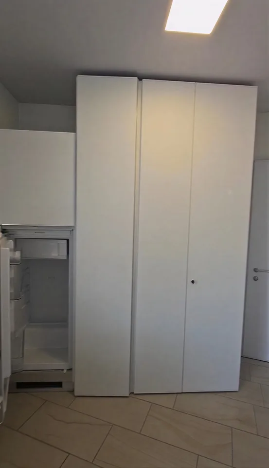 Affitare appartamento 1.5 locali a Viganello