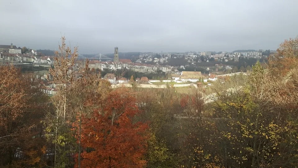 À LOUER PLACES DE PARC AU COEUR DE LA VILLE DE FRIBOURG