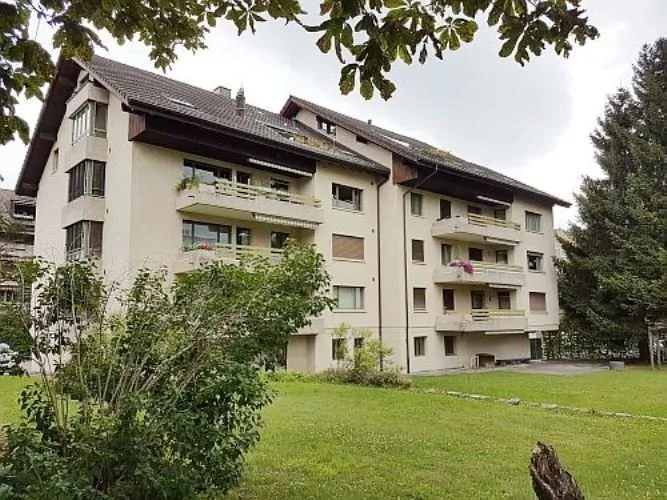 Komplett renovierte Wohnung mit grosszügigem Grundriss