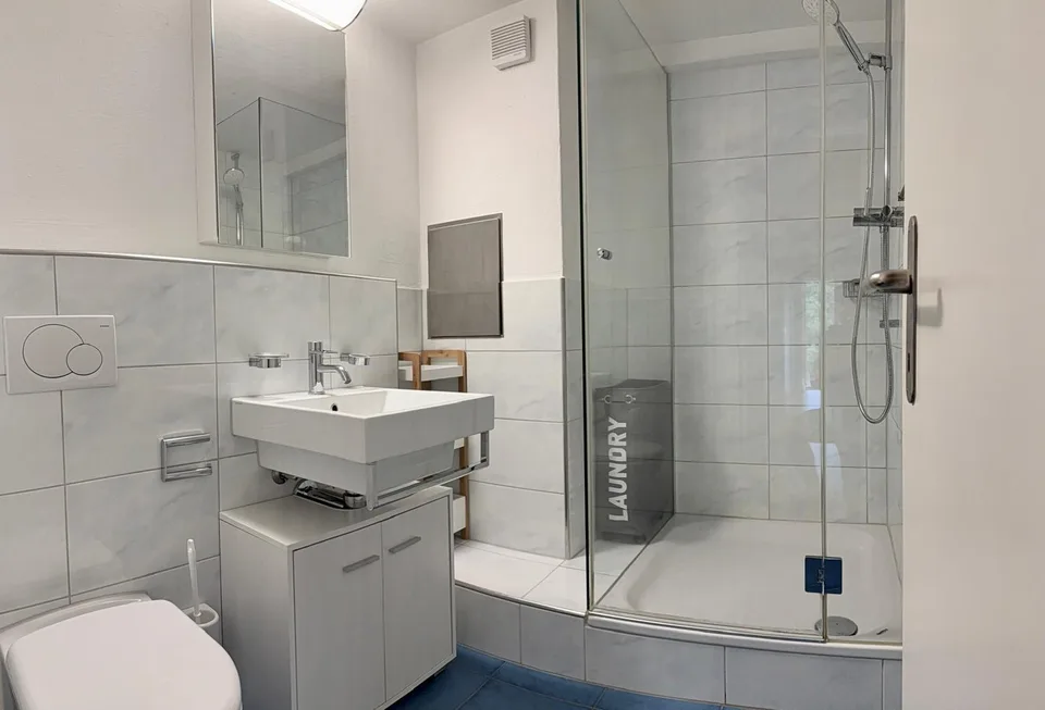2.5 Zi Dachwohnung Maisonette Loft inkl Wifi und Parkplatz