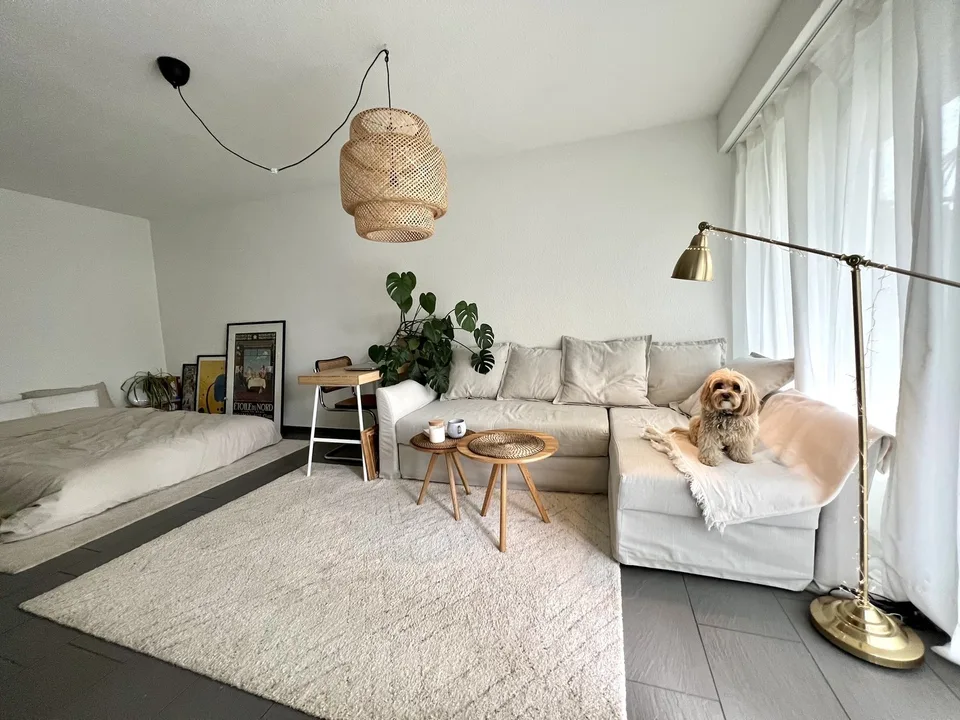 Lovely 1.5 apartment for rental available from 1 october