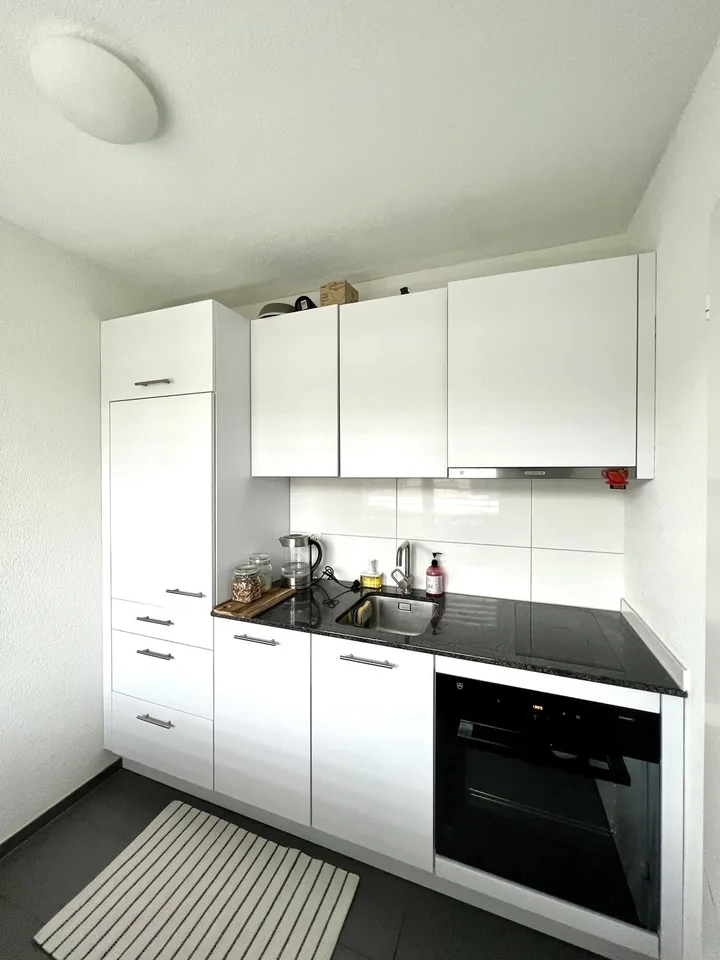 Lovely 1.5 apartment for rental available from 1 october