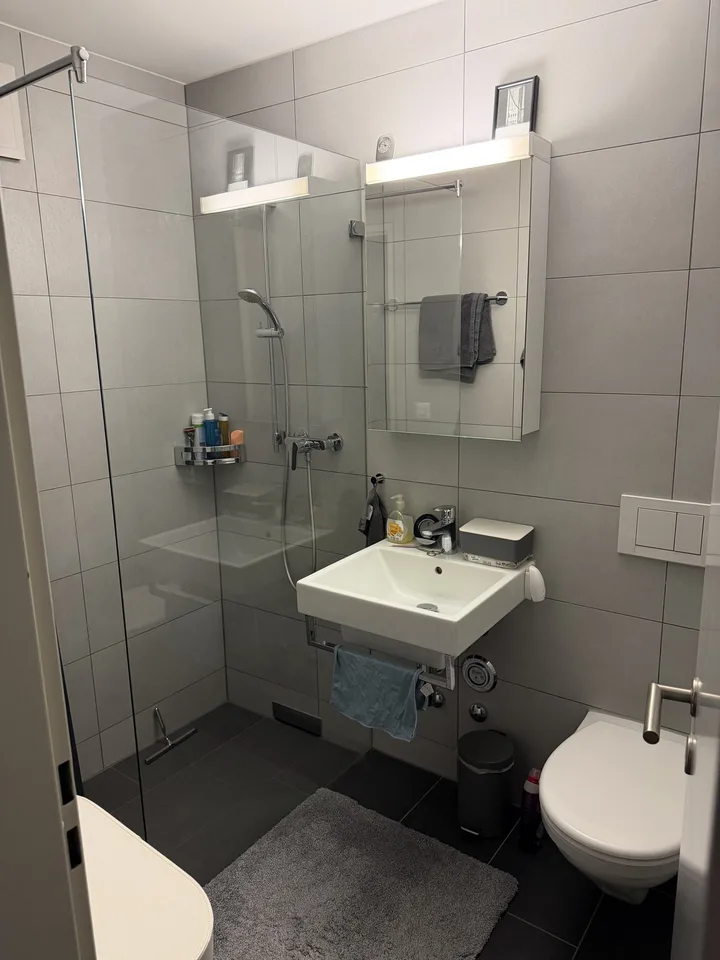 2-Zimmer-Wohnung, zentral gelegen und gut angebunden in Dübendorf