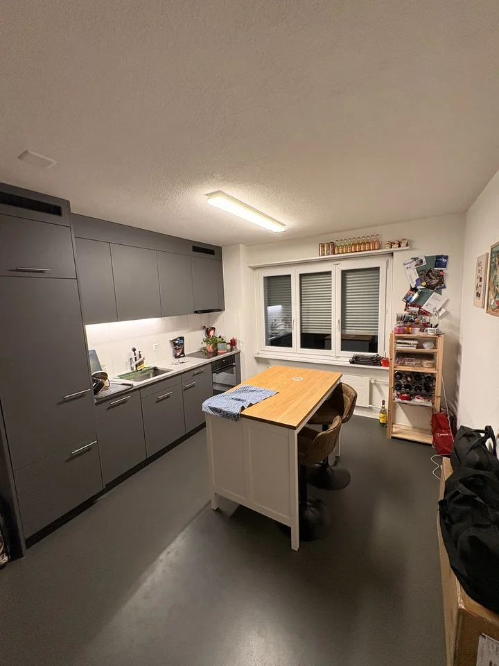 2.5 Room Apartment Zurich / Altstetten