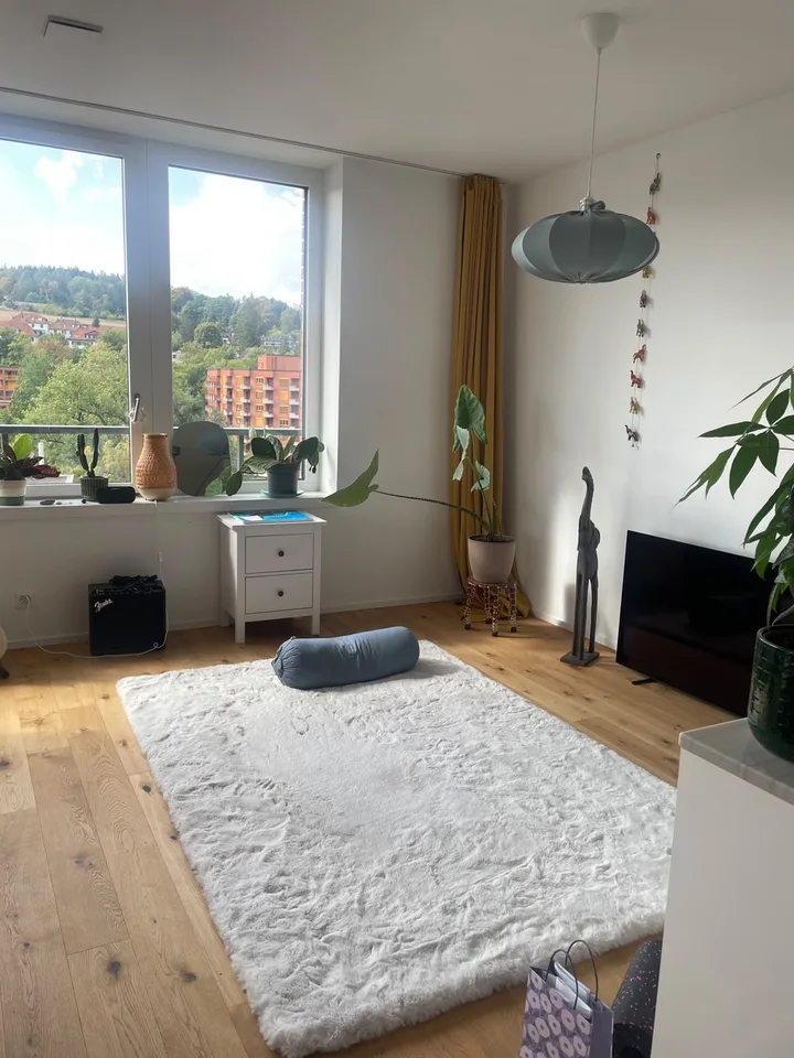 Ernst-Jung-Gasse 18, 8400 Winterthur - CHF 2’590 inkl. NK pro Monat