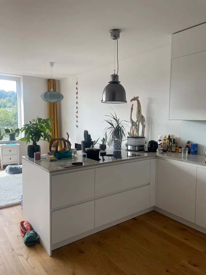 Ernst-Jung-Gasse 18, 8400 Winterthur - CHF 2’590 inkl. NK pro Monat
